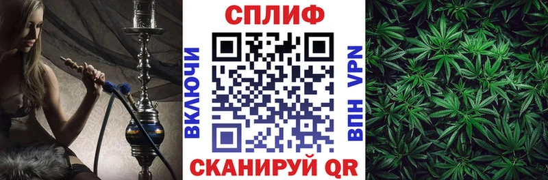 Канабис OG Kush Чишмы